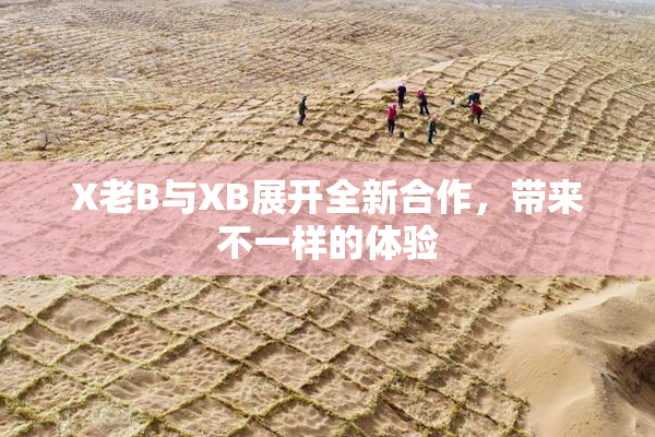 X老B与XB展开全新合作，带来不一样的体验