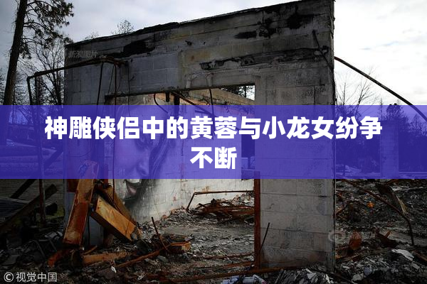 神雕侠侣中的黄蓉与小龙女纷争不断