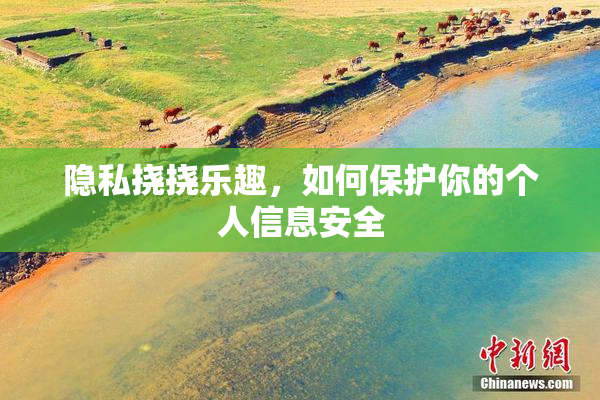 隐私挠挠乐趣，如何保护你的个人信息安全