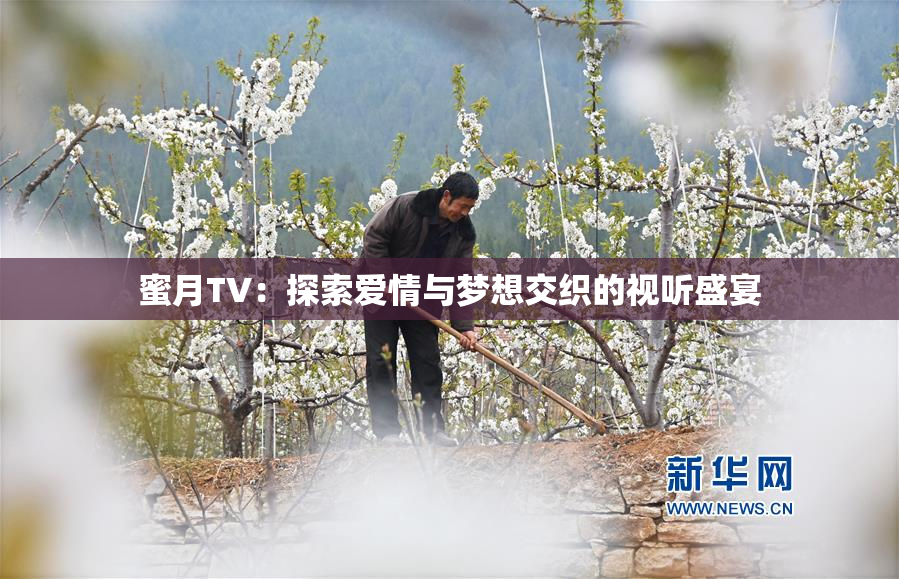 蜜月TV：探索爱情与梦想交织的视听盛宴