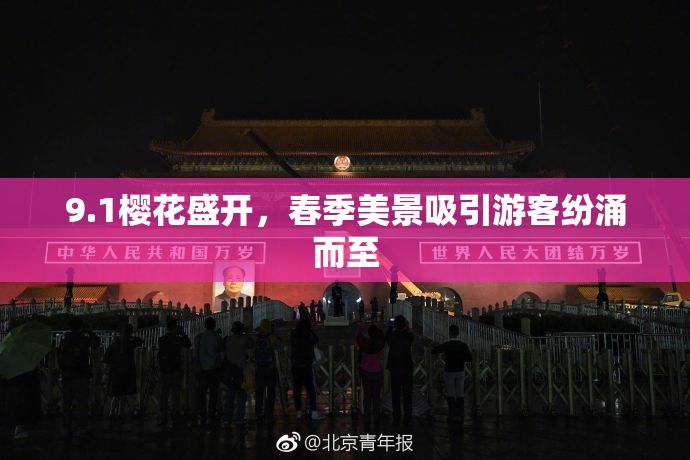 9.1樱花盛开，春季美景吸引游客纷涌而至
