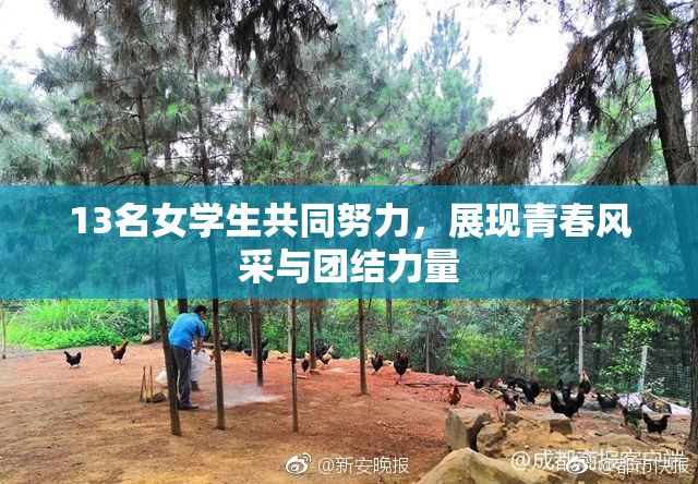 13名女学生共同努力，展现青春风采与团结力量