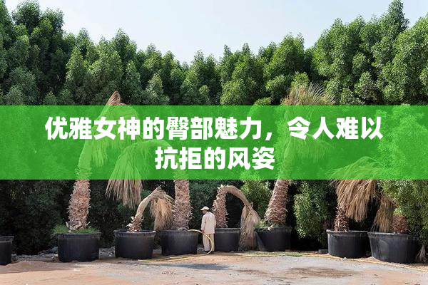 优雅女神的臀部魅力，令人难以抗拒的风姿