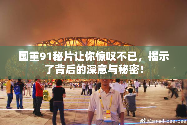 国重91秘片让你惊叹不已，揭示了背后的深意与秘密！