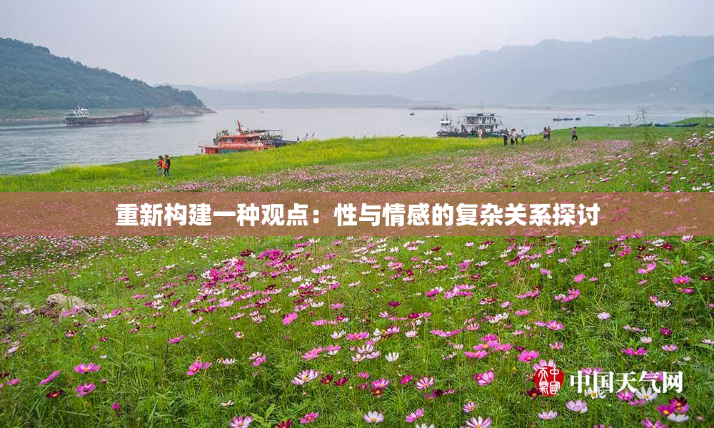 重新构建一种观点：性与情感的复杂关系探讨