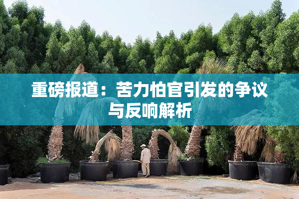 重磅报道：苦力怕官引发的争议与反响解析