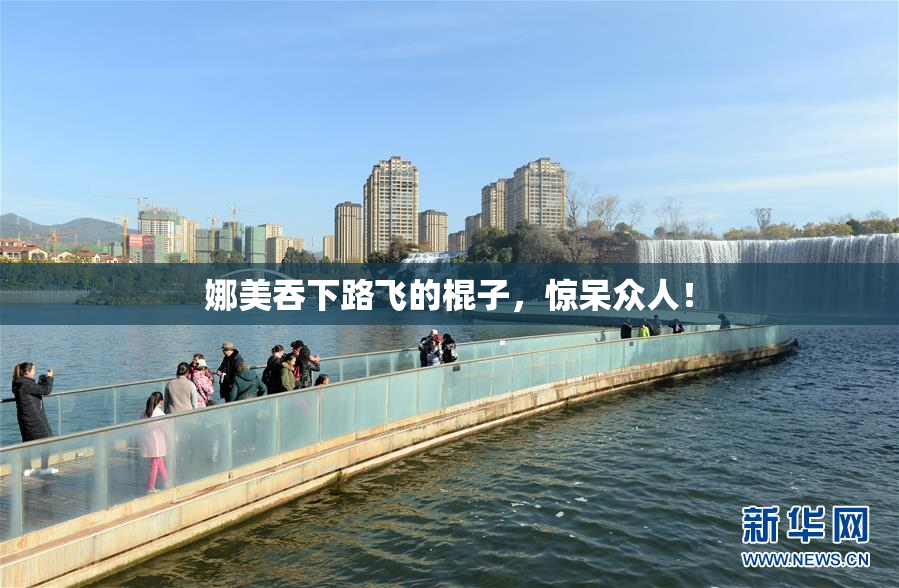 娜美吞下路飞的棍子，惊呆众人！