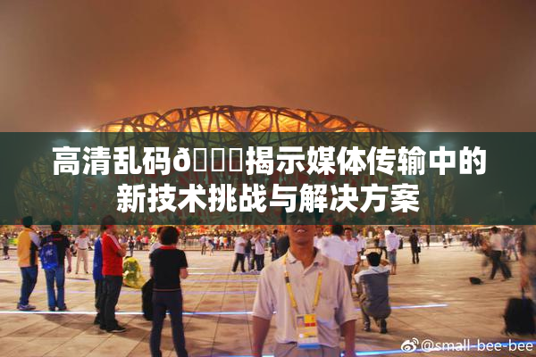 高清乱码🔞揭示媒体传输中的新技术挑战与解决方案