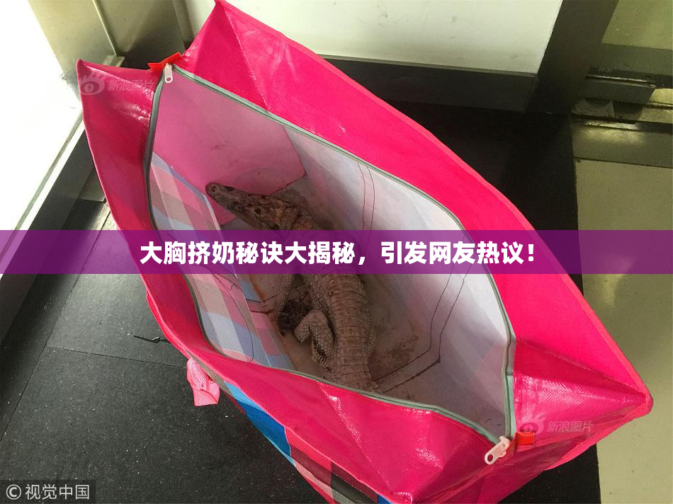 大胸挤奶秘诀大揭秘，引发网友热议！