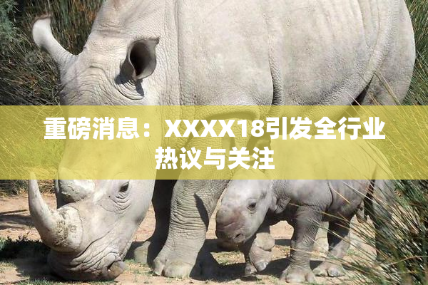 重磅消息：XXXX18引发全行业热议与关注