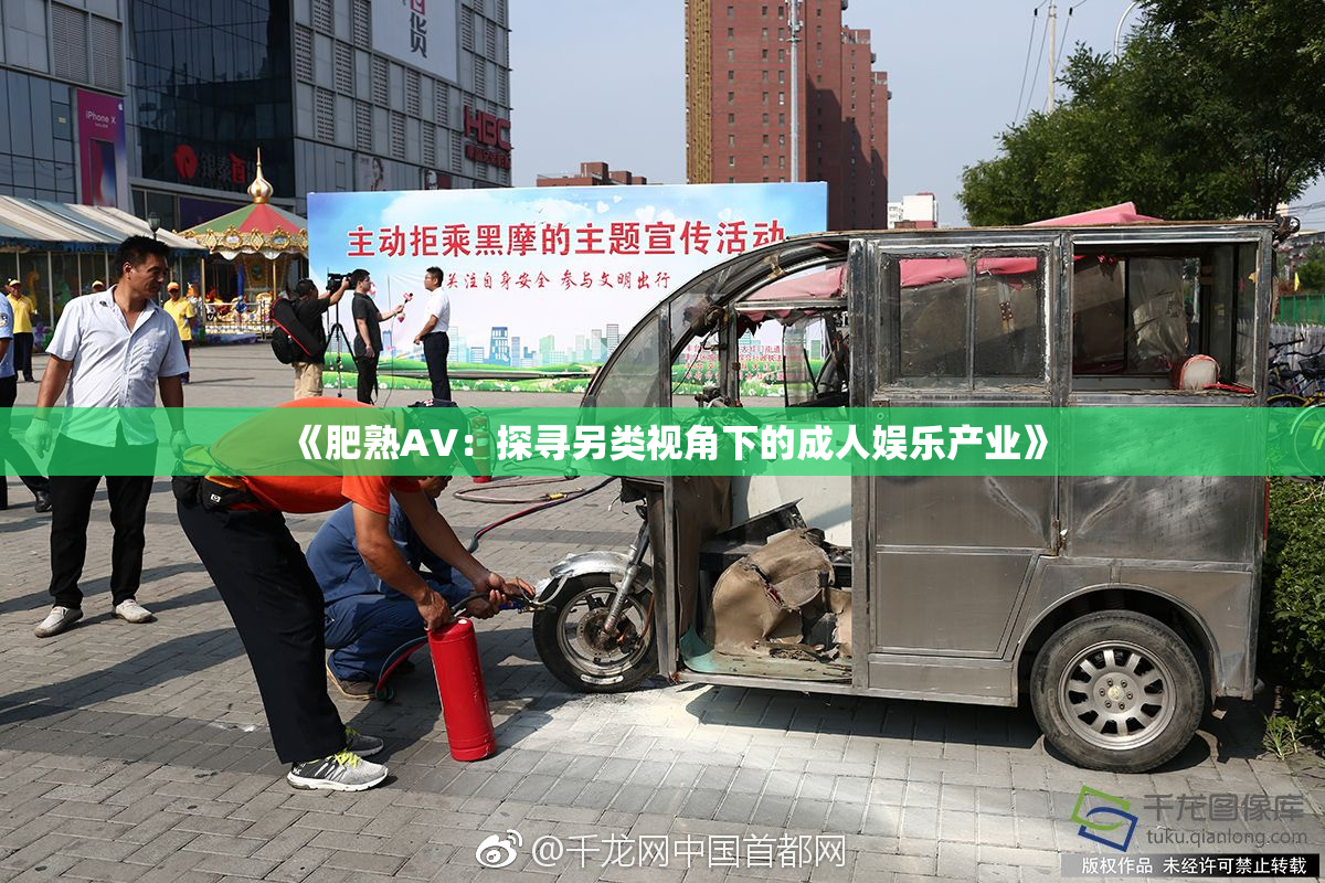 《肥熟AV：探寻另类视角下的成人娱乐产业》