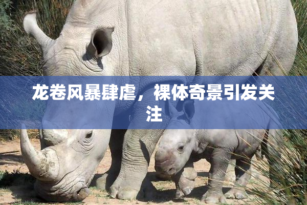 龙卷风暴肆虐，裸体奇景引发关注