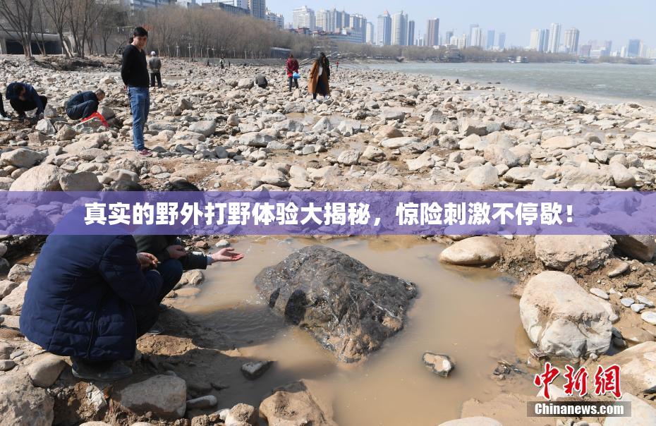 真实的野外打野体验大揭秘，惊险刺激不停歇！