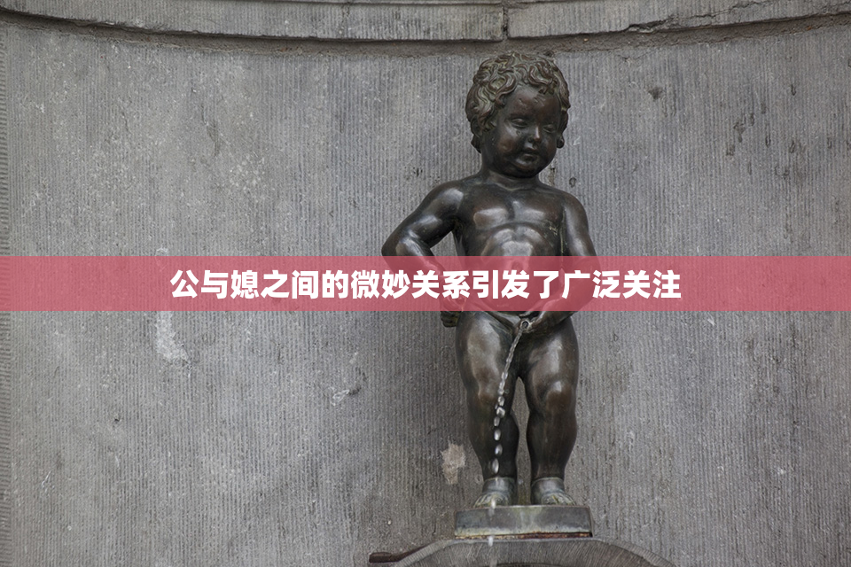 公与媳之间的微妙关系引发了广泛关注