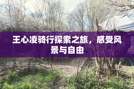王心凌骑行探索之旅，感受风景与自由