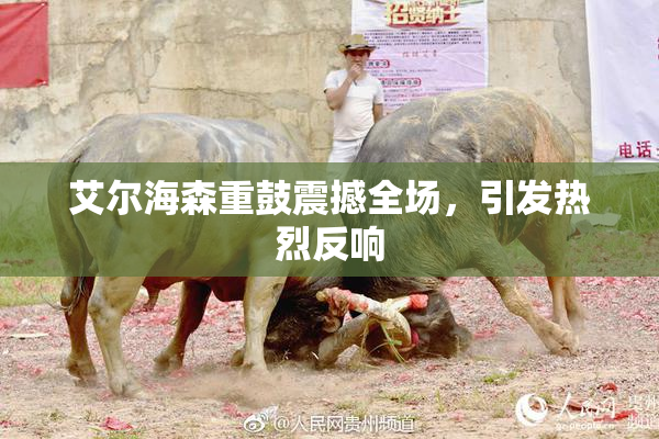 艾尔海森重鼓震撼全场，引发热烈反响