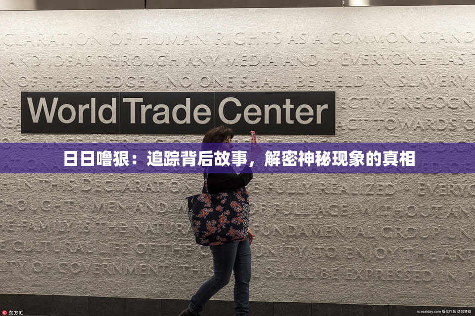 日日噜狠：追踪背后故事，解密神秘现象的真相