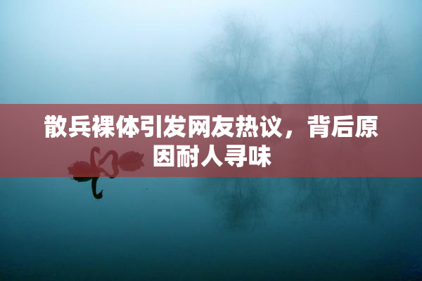 散兵裸体引发网友热议，背后原因耐人寻味