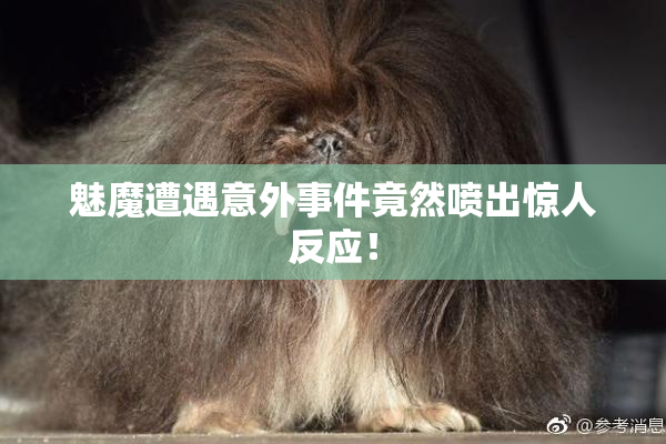 魅魔遭遇意外事件竟然喷出惊人反应！
