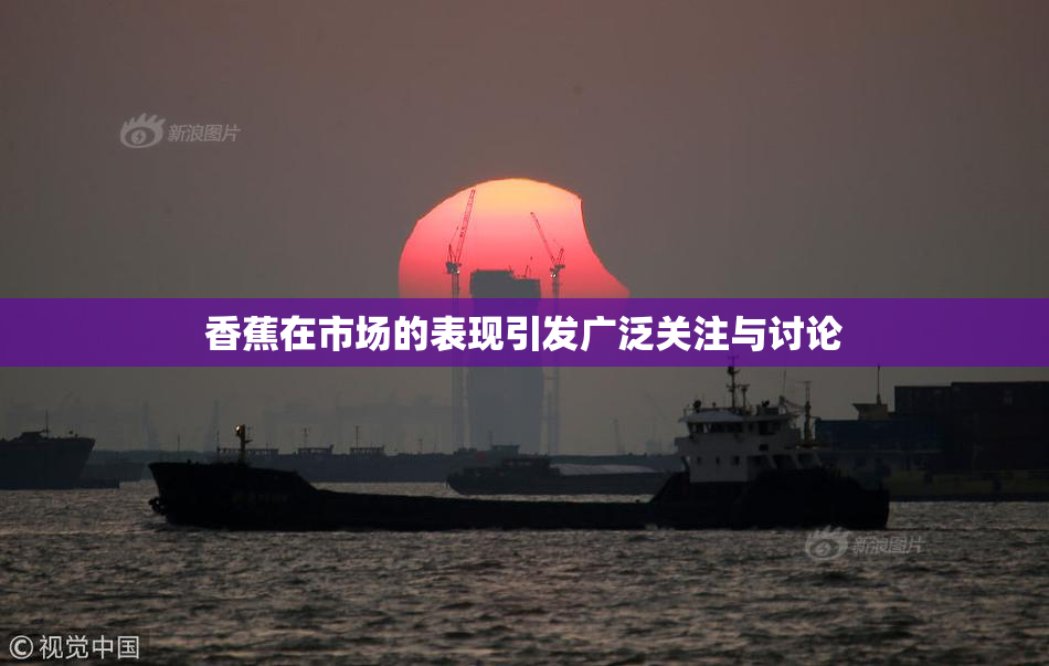 香蕉在市场的表现引发广泛关注与讨论