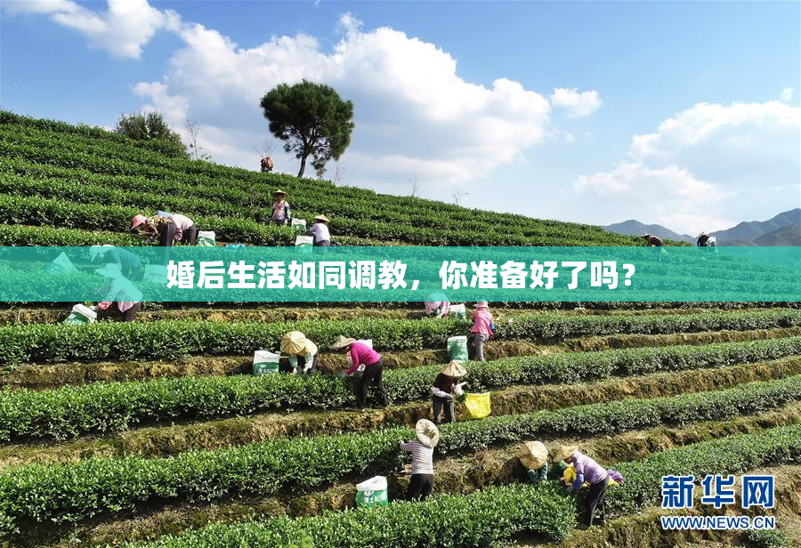 婚后生活如同调教，你准备好了吗？