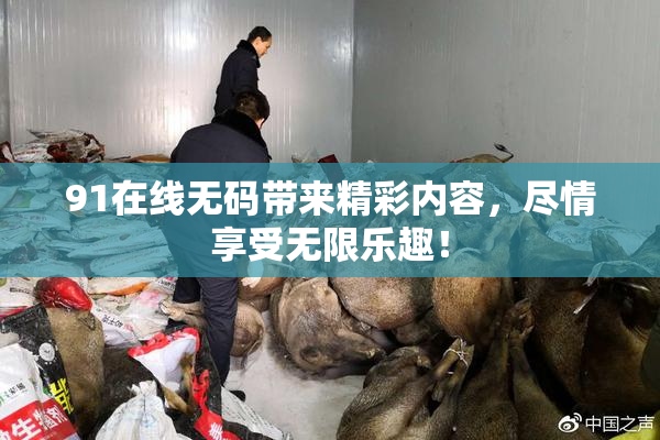 91在线无码带来精彩内容，尽情享受无限乐趣！