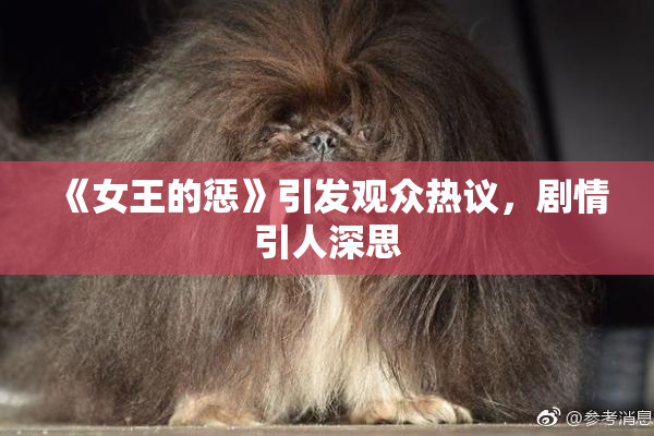 《女王的惩》引发观众热议，剧情引人深思