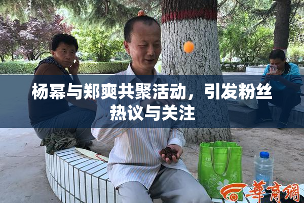 杨幂与郑爽共聚活动，引发粉丝热议与关注