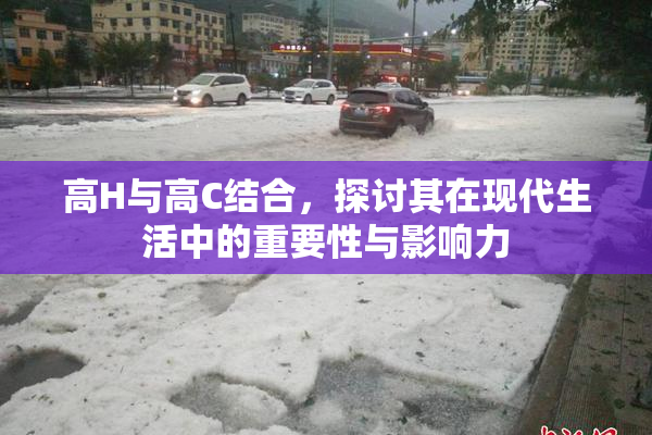 高H与高C结合，探讨其在现代生活中的重要性与影响力