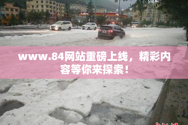 www.84网站重磅上线，精彩内容等你来探索！