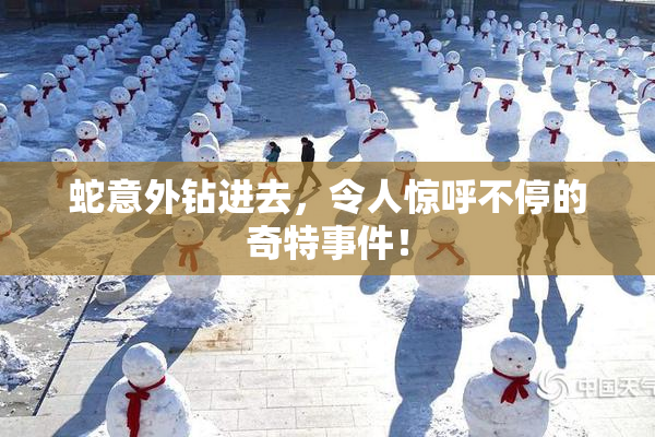 蛇意外钻进去，令人惊呼不停的奇特事件！