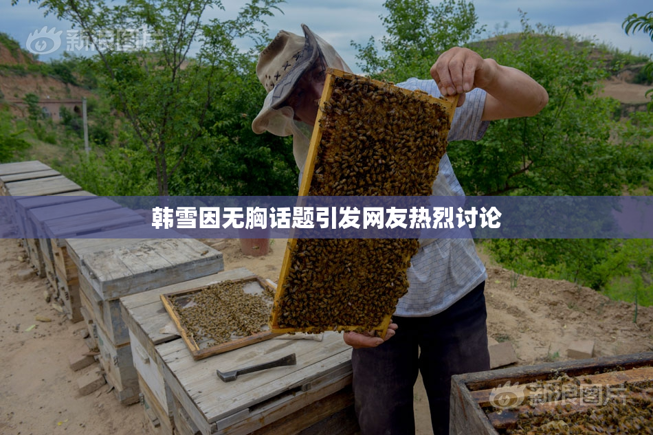 韩雪因无胸话题引发网友热烈讨论