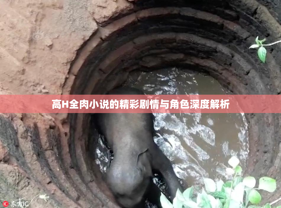 高H全肉小说的精彩剧情与角色深度解析