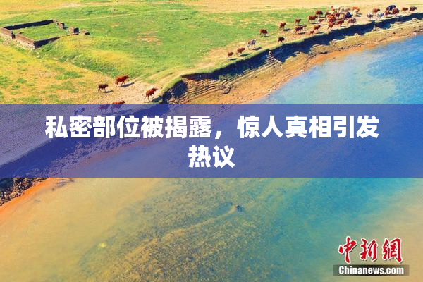 私密部位被揭露，惊人真相引发热议
