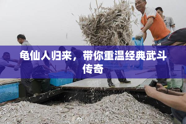 龟仙人归来，带你重温经典武斗传奇