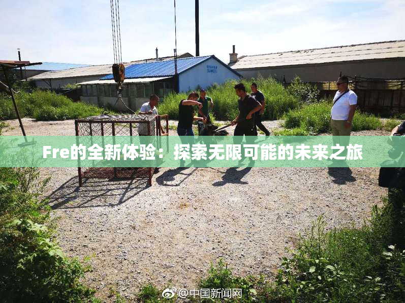 Fre的全新体验：探索无限可能的未来之旅