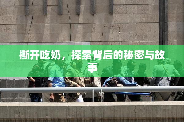撕开吃奶，探索背后的秘密与故事