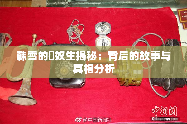 韩雪的婬奴生揭秘：背后的故事与真相分析