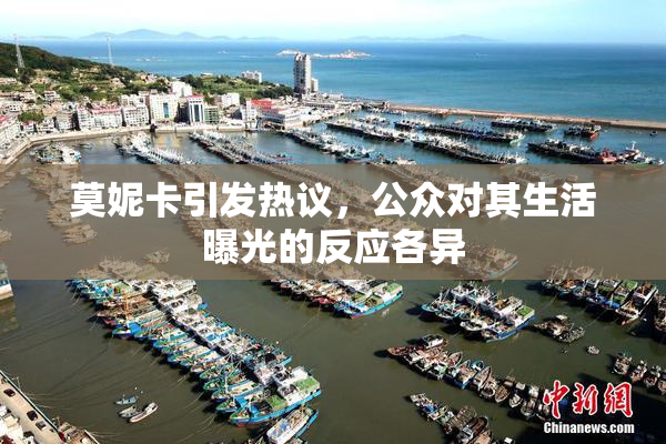 莫妮卡引发热议，公众对其生活曝光的反应各异