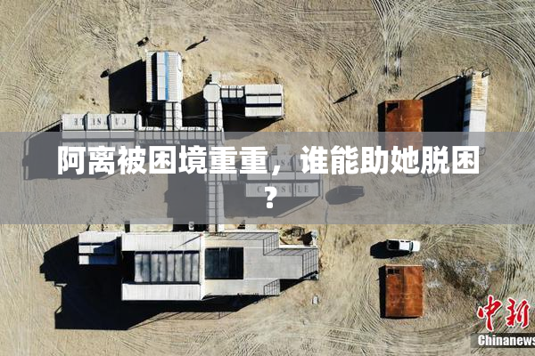 阿离被困境重重，谁能助她脱困？
