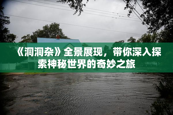 《洞洞杂》全景展现，带你深入探索神秘世界的奇妙之旅
