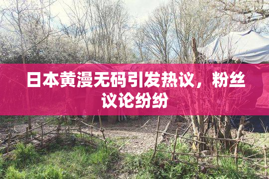 日本黄漫无码引发热议，粉丝议论纷纷