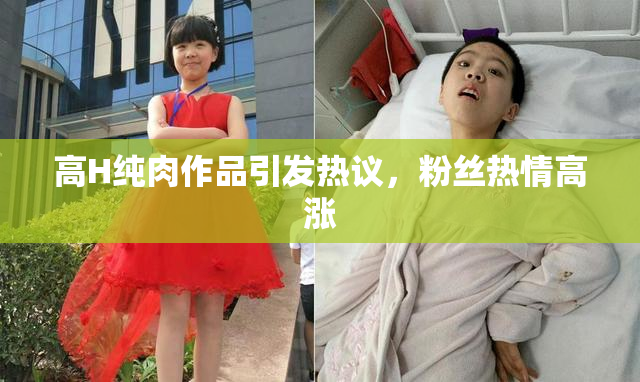 高H纯肉作品引发热议，粉丝热情高涨