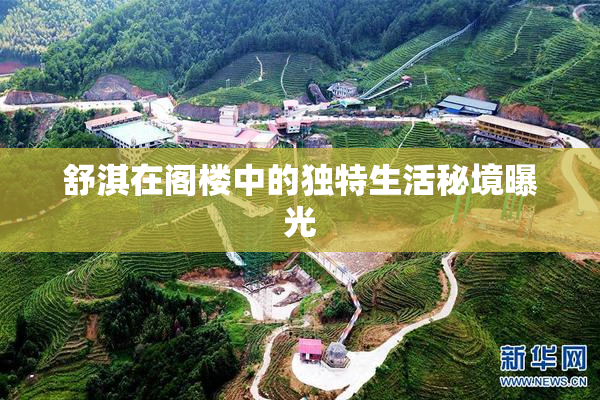 舒淇在阁楼中的独特生活秘境曝光