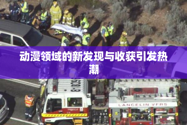 动漫领域的新发现与收获引发热潮