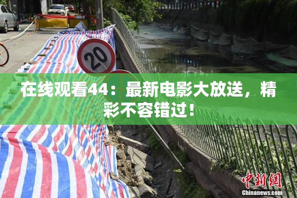 在线观看44：最新电影大放送，精彩不容错过！
