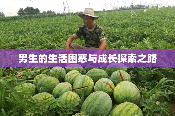 男生的生活困惑与成长探索之路