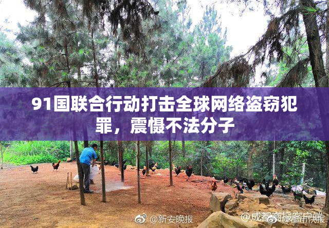 91国联合行动打击全球网络盗窃犯罪，震慑不法分子