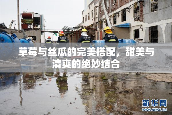 草莓与丝瓜的完美搭配，甜美与清爽的绝妙结合