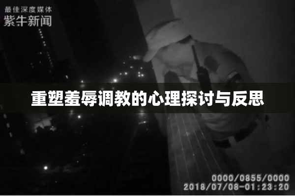 重塑羞辱调教的心理探讨与反思